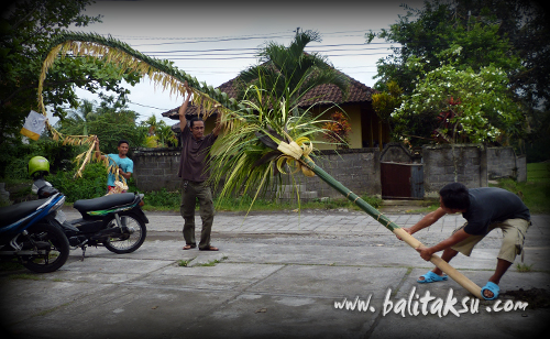 Buat Penjor Galungan