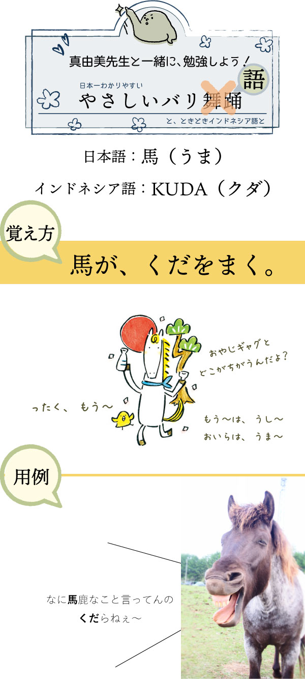 インドネシア語で馬はKUDAです。では、簡単な覚え方に行きましょう。