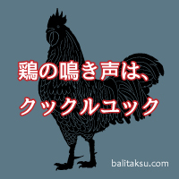 バリ島インドネシアでは鶏の鳴き声はクックルユック（kukuruyuk）