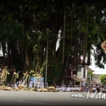 2012nyepi-07