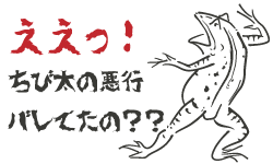 バンジャール追放　バリ島のちび太