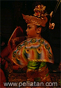 kupu-kupu